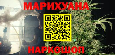 гашик Ливны