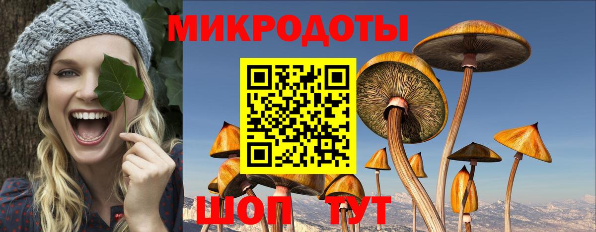 Псилоцибиновые грибы MAGIC MUSHROOMS  Вход с VPN  Псилоцибиновые грибы Psilocybine cubensis  Заводоуковск 